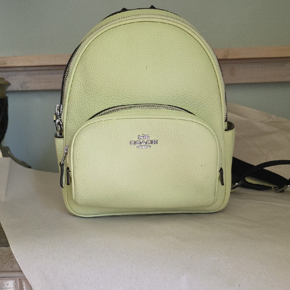 Coach Pastel Green Leather Backpack